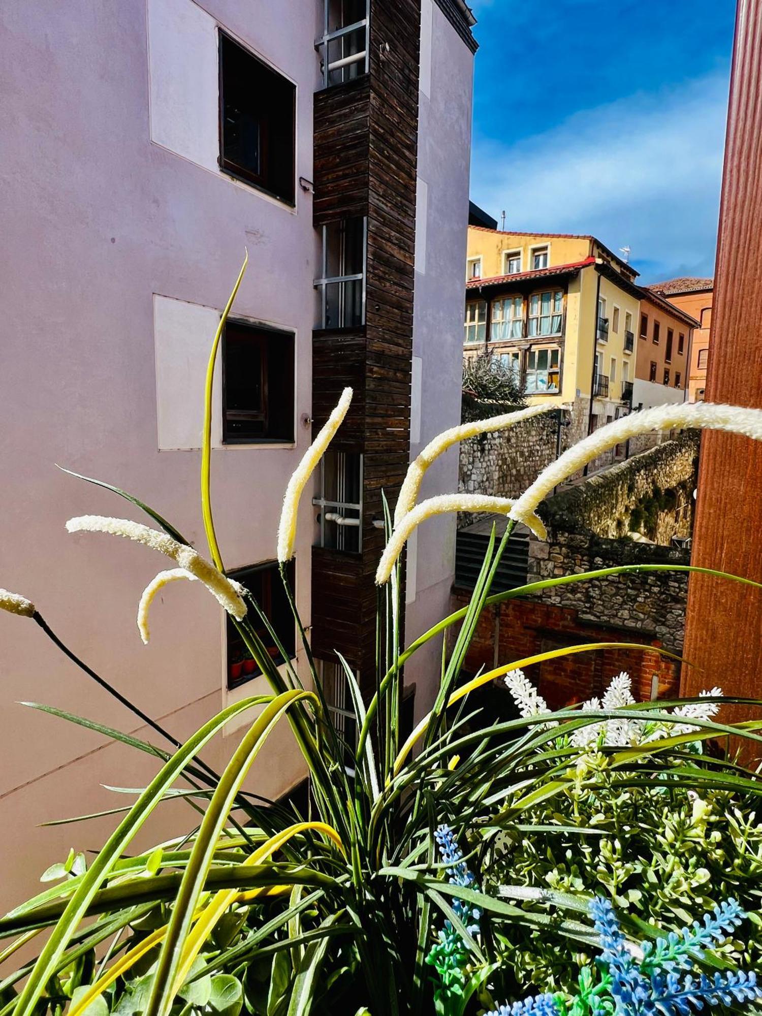 El Capricho De Claudia_ Apartamentos Burgos Catedral Bagian luar foto
